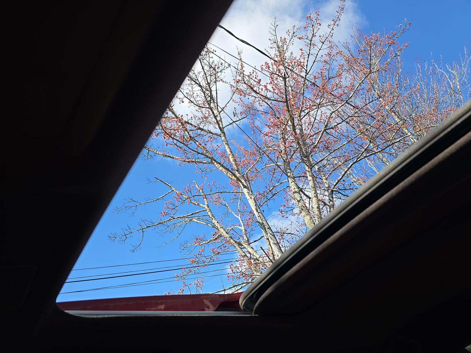 2019 Lexus ES ES 350 FWD