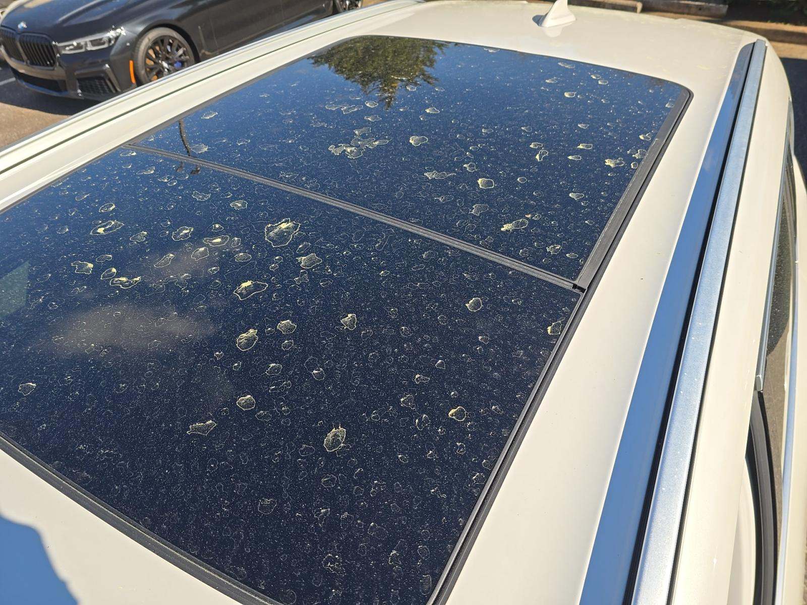 2023 BMW X5 sDrive40i RWD