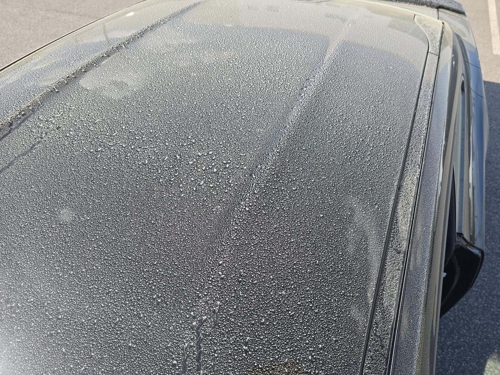 DODGE CHALLENGER - 8