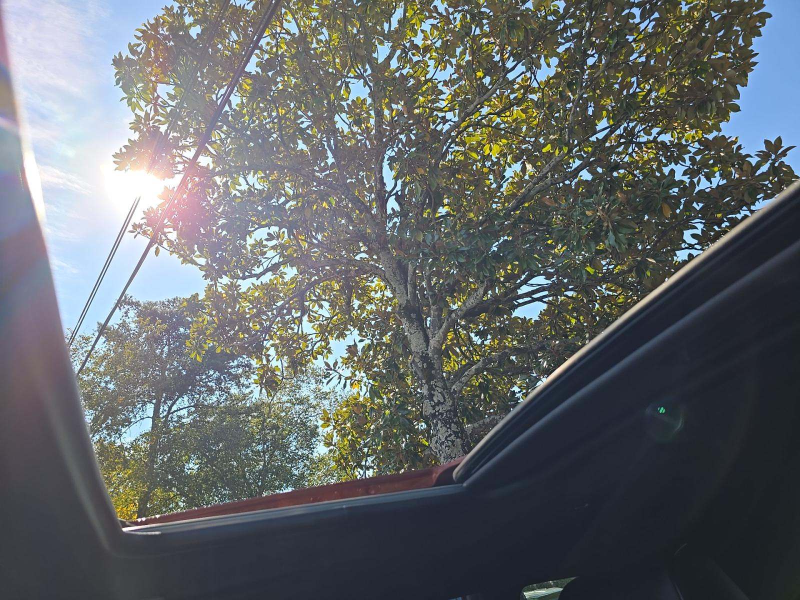 2023 Dodge Challenger SRT Hellcat Widebody RWD