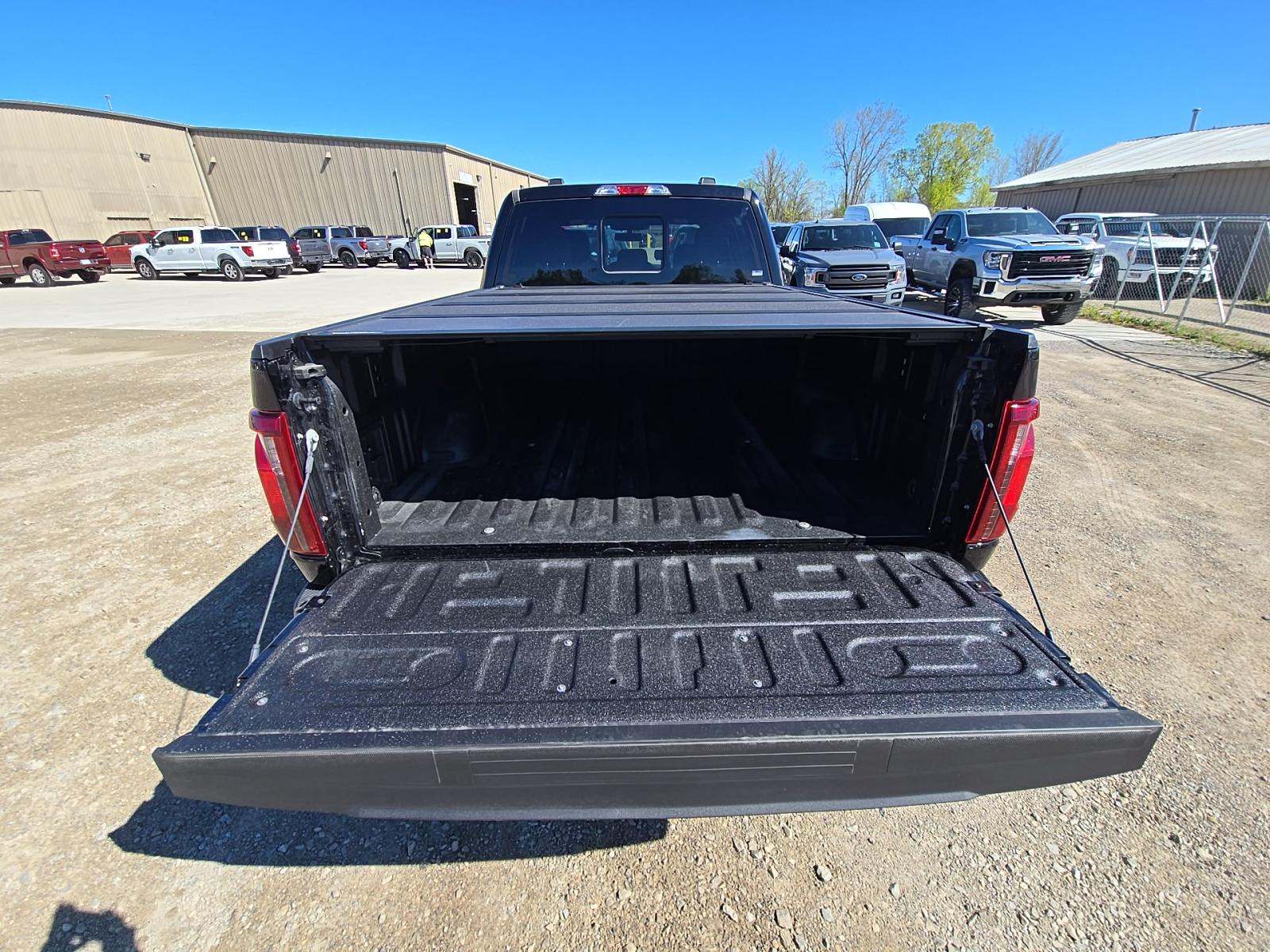 FORD F-150 - 10
