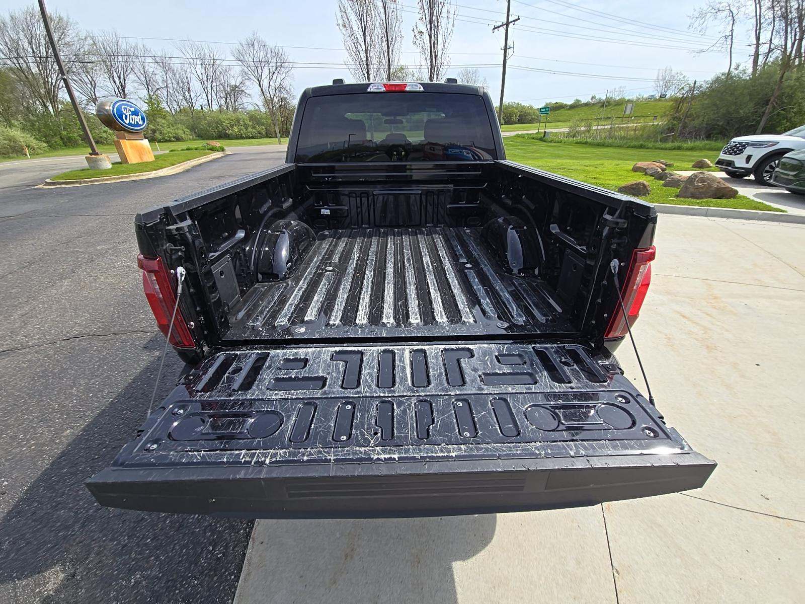 FORD F-150 - 10