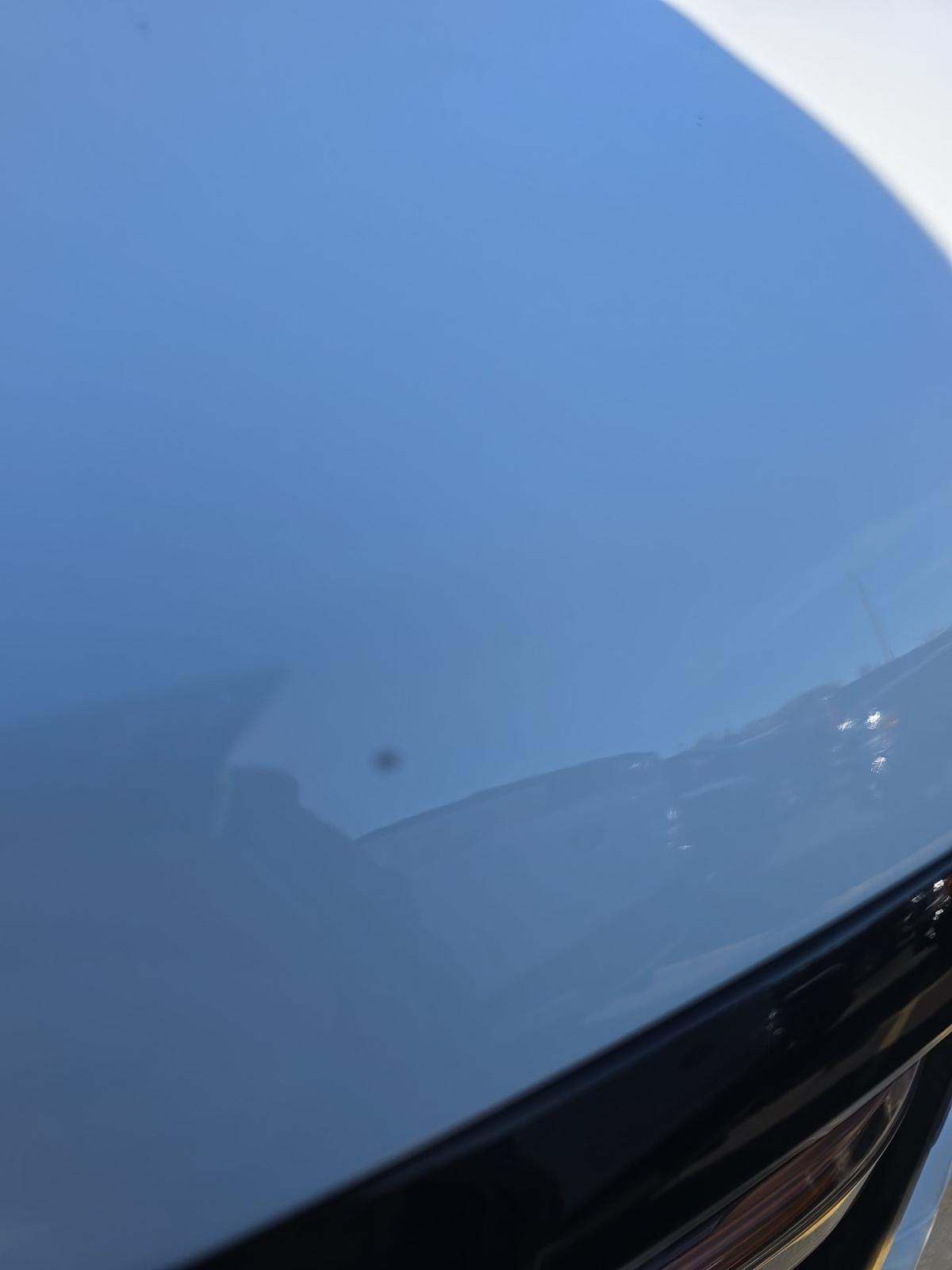 2024 Ford F-150 XLT AWD