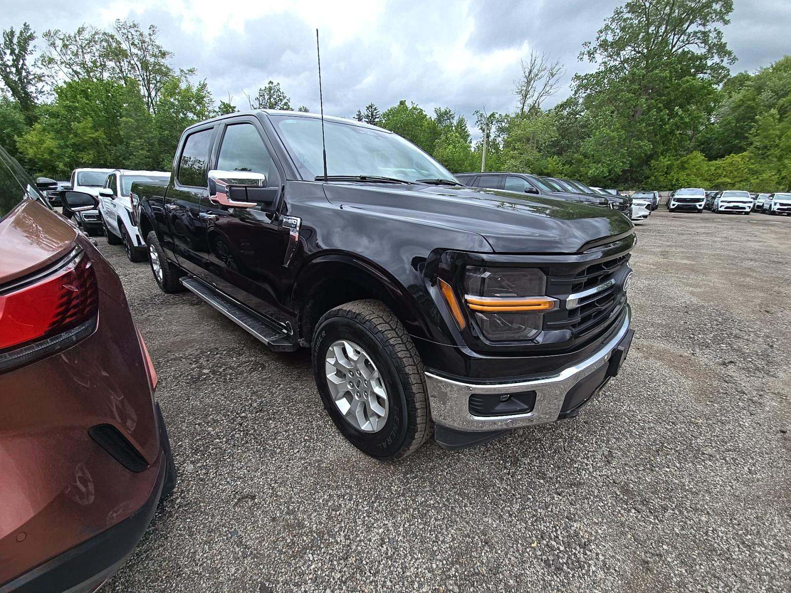 2025 Ford F-150 XLT AWD