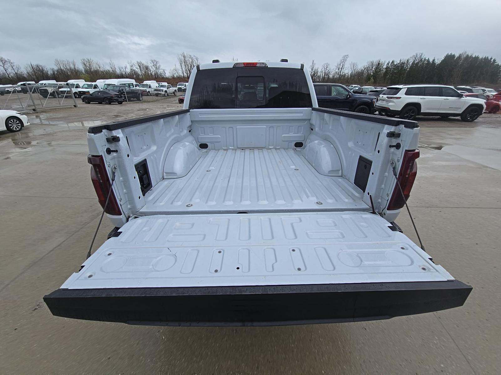 FORD F-150 - 10