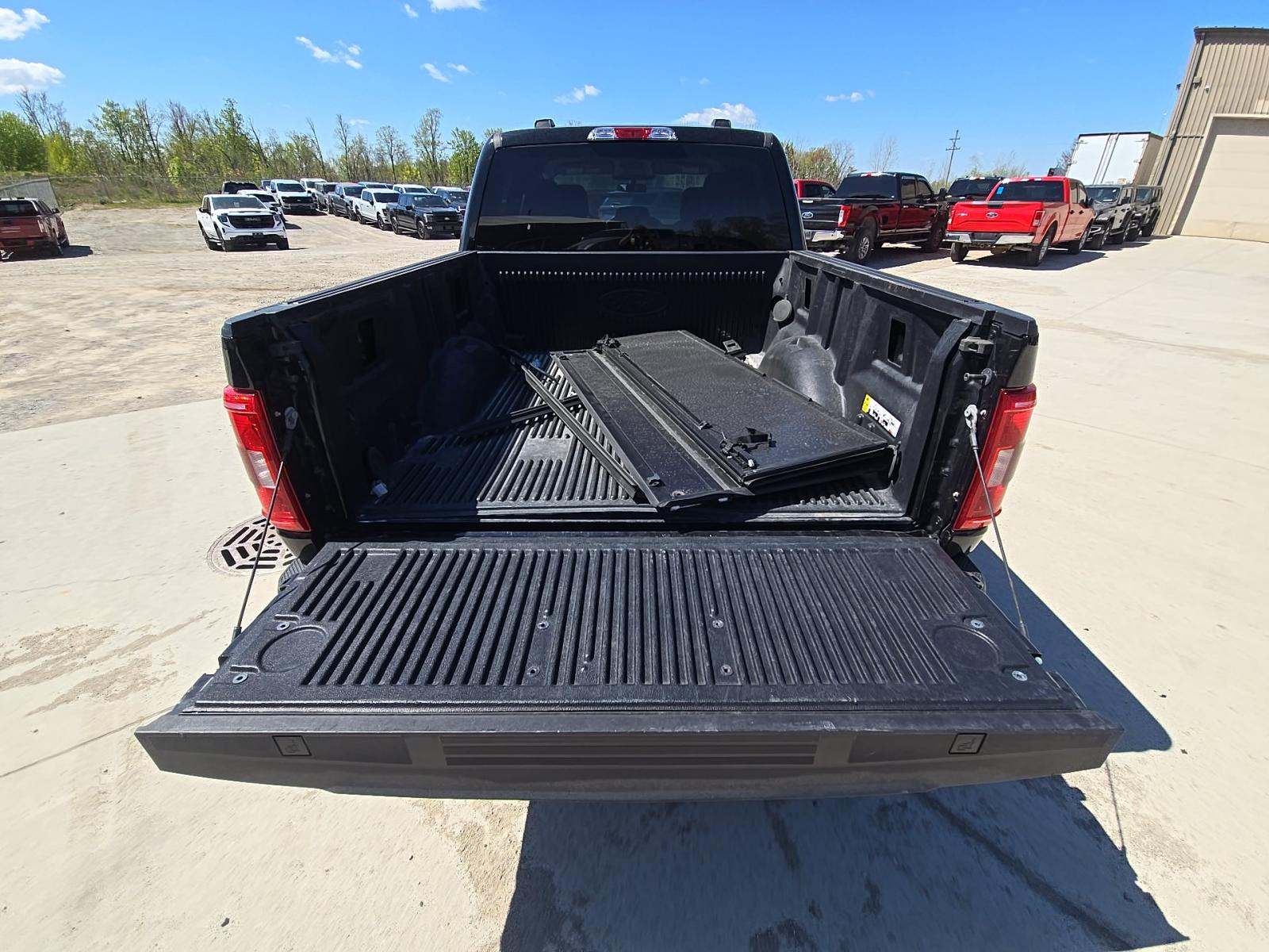 FORD F-150 - 10