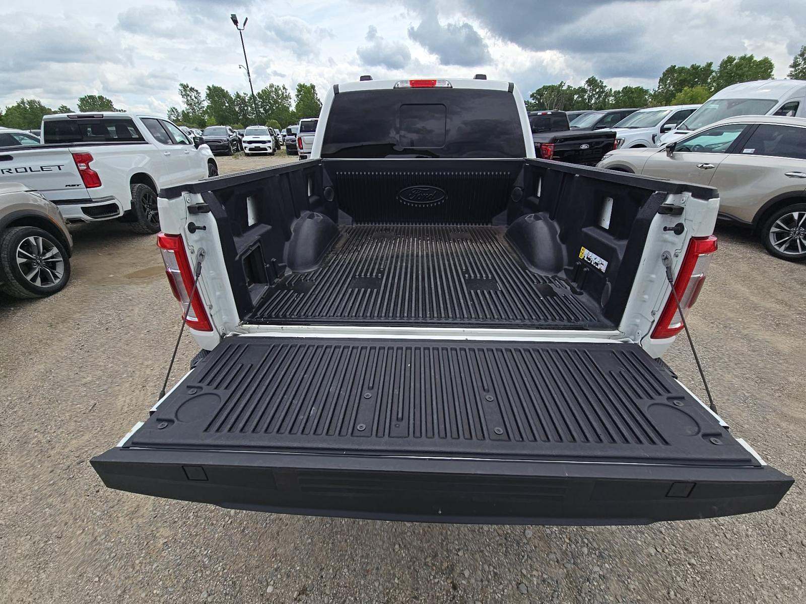 2023 Ford F-150 Lariat AWD