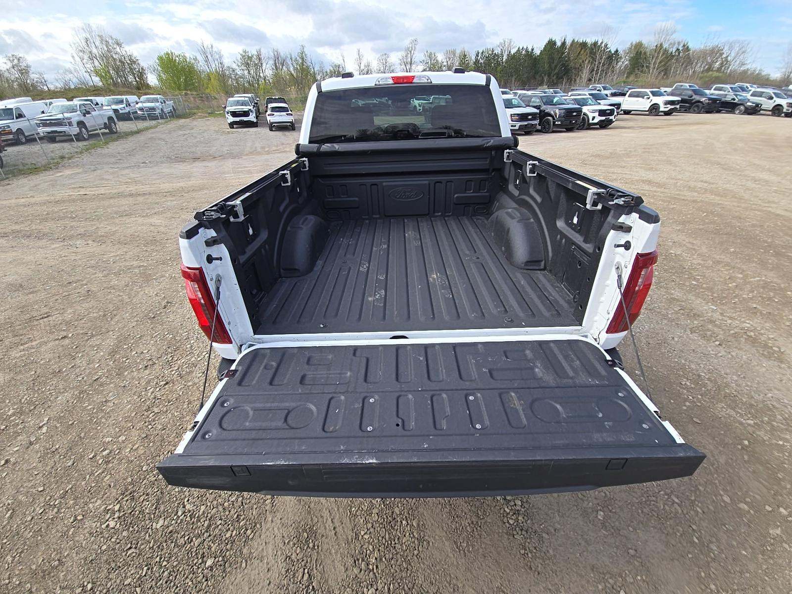 FORD F-150 - 10
