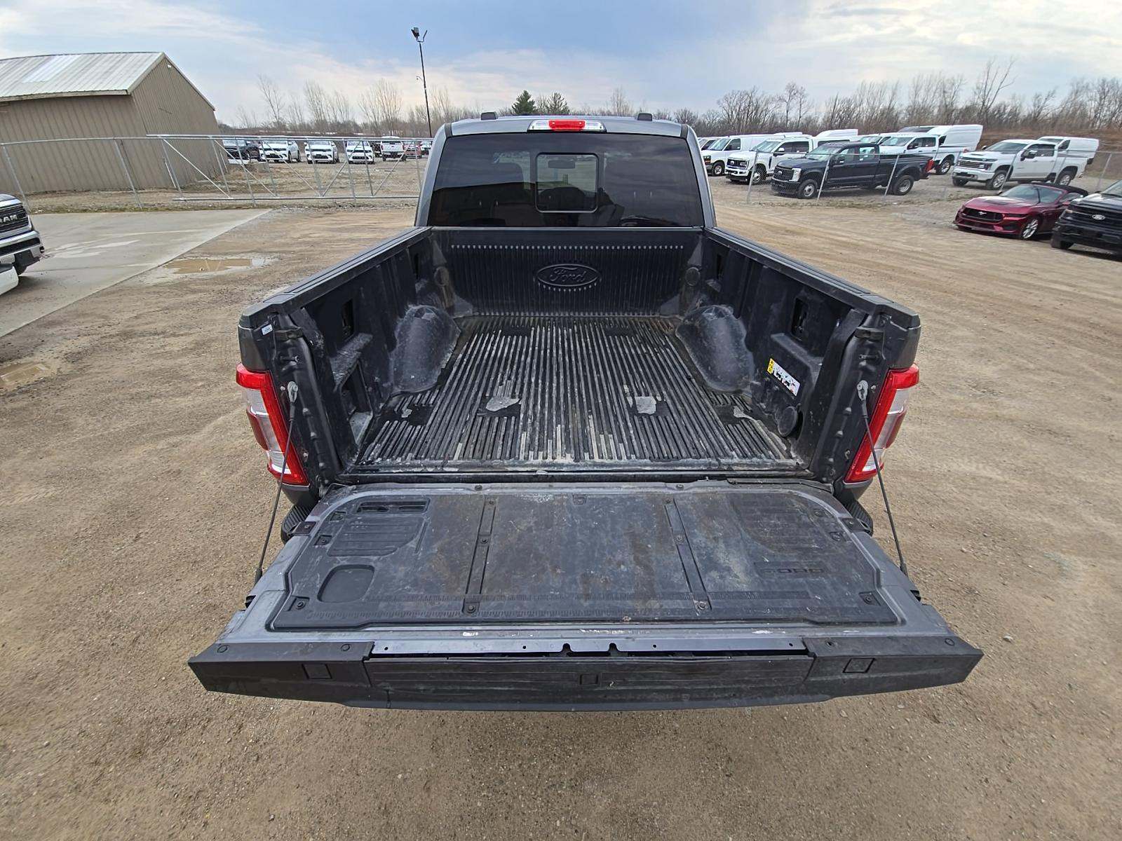 FORD F-150 - 10