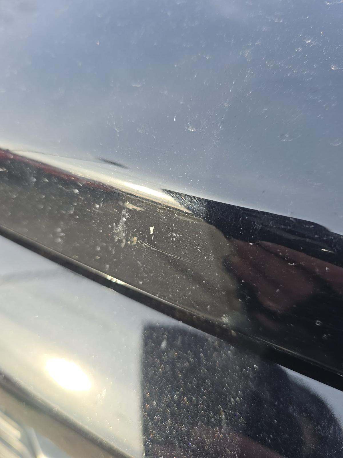 2023 Ford F-150 XL AWD