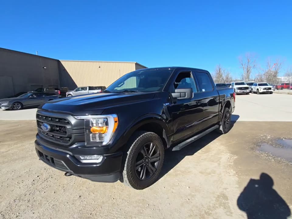 2023 Ford F-150 XLT AWD
