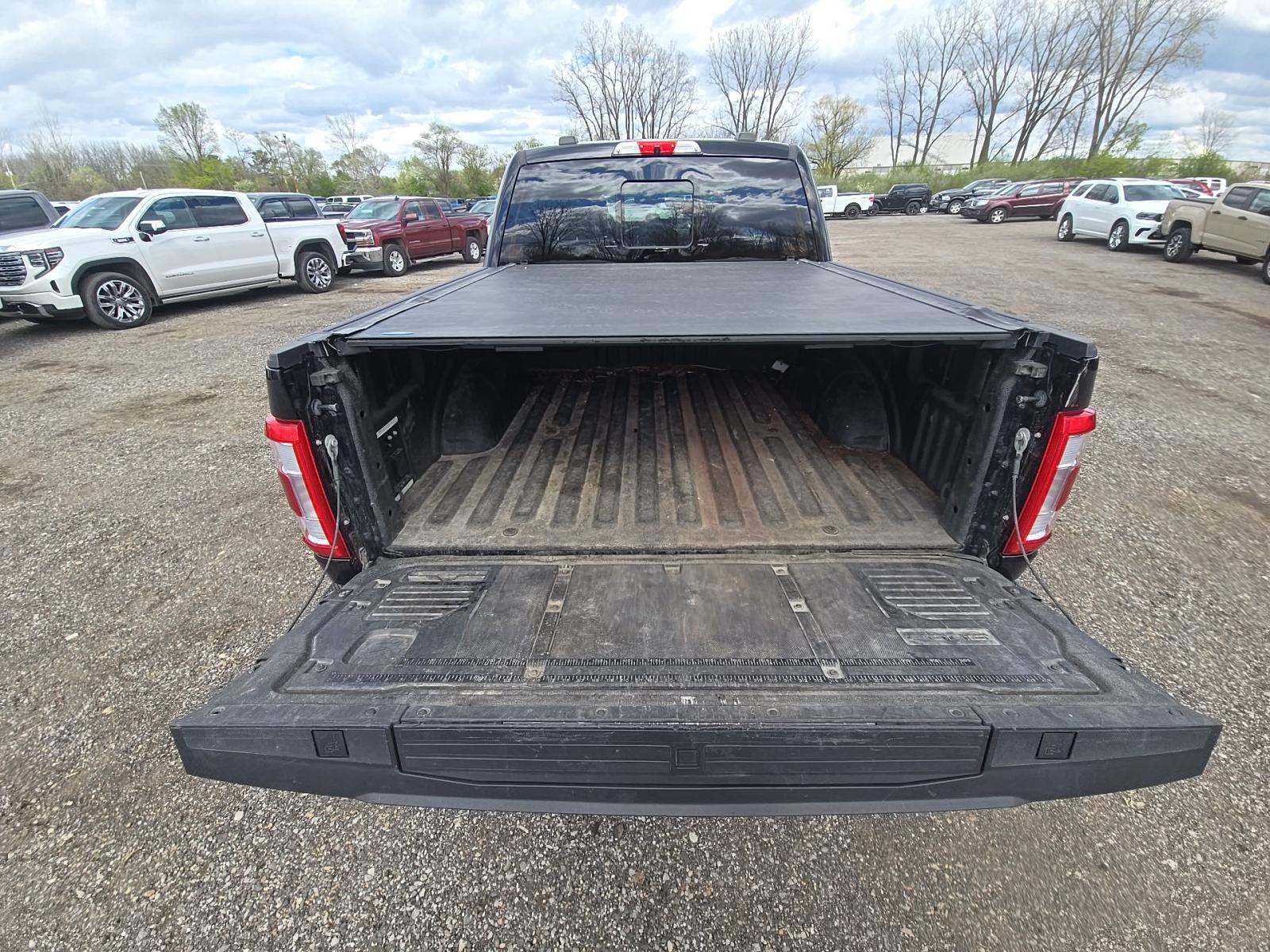 FORD F-150 - 10