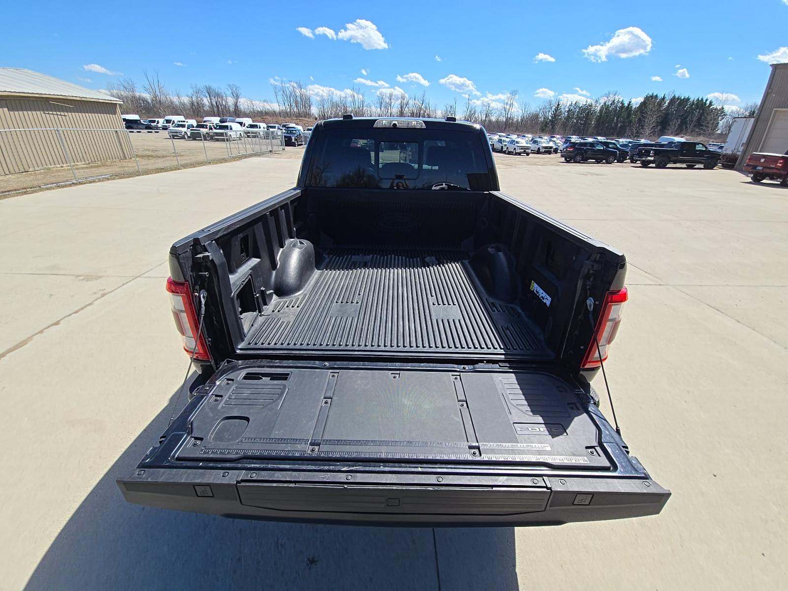 FORD F-150 - 10