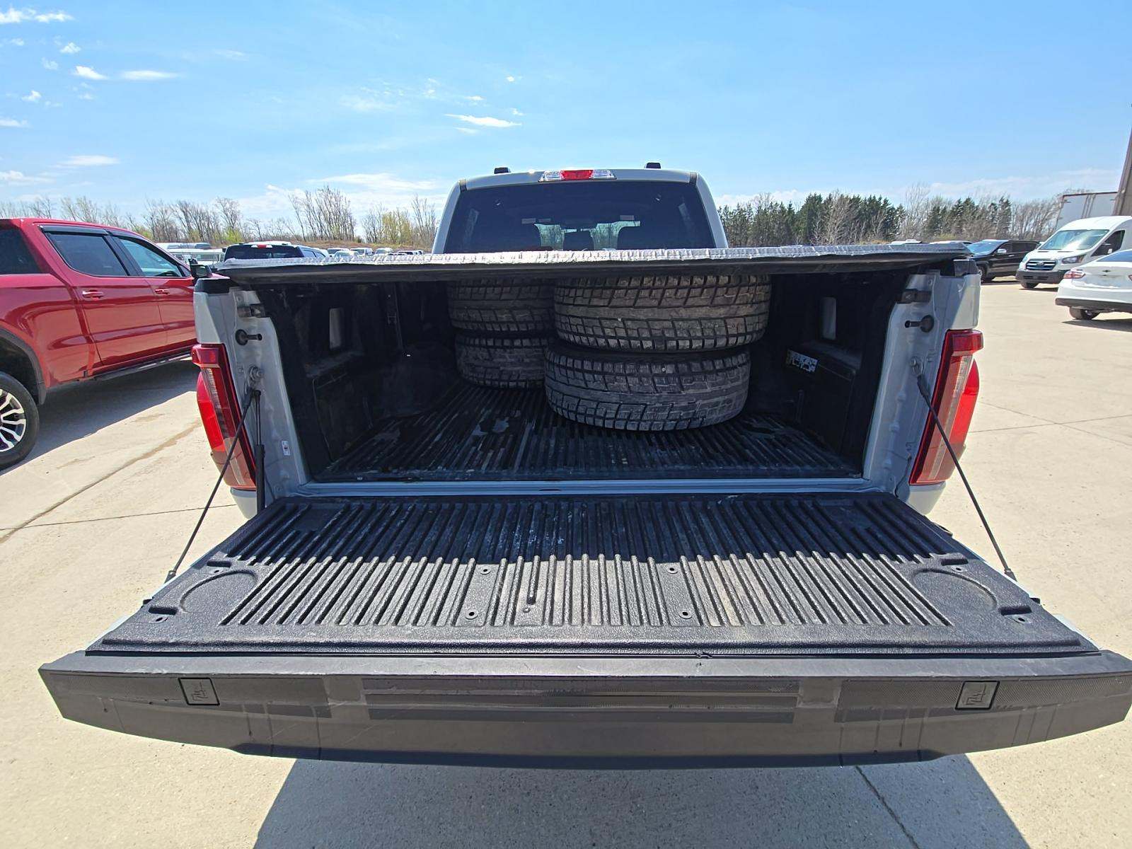 FORD F-150 - 10