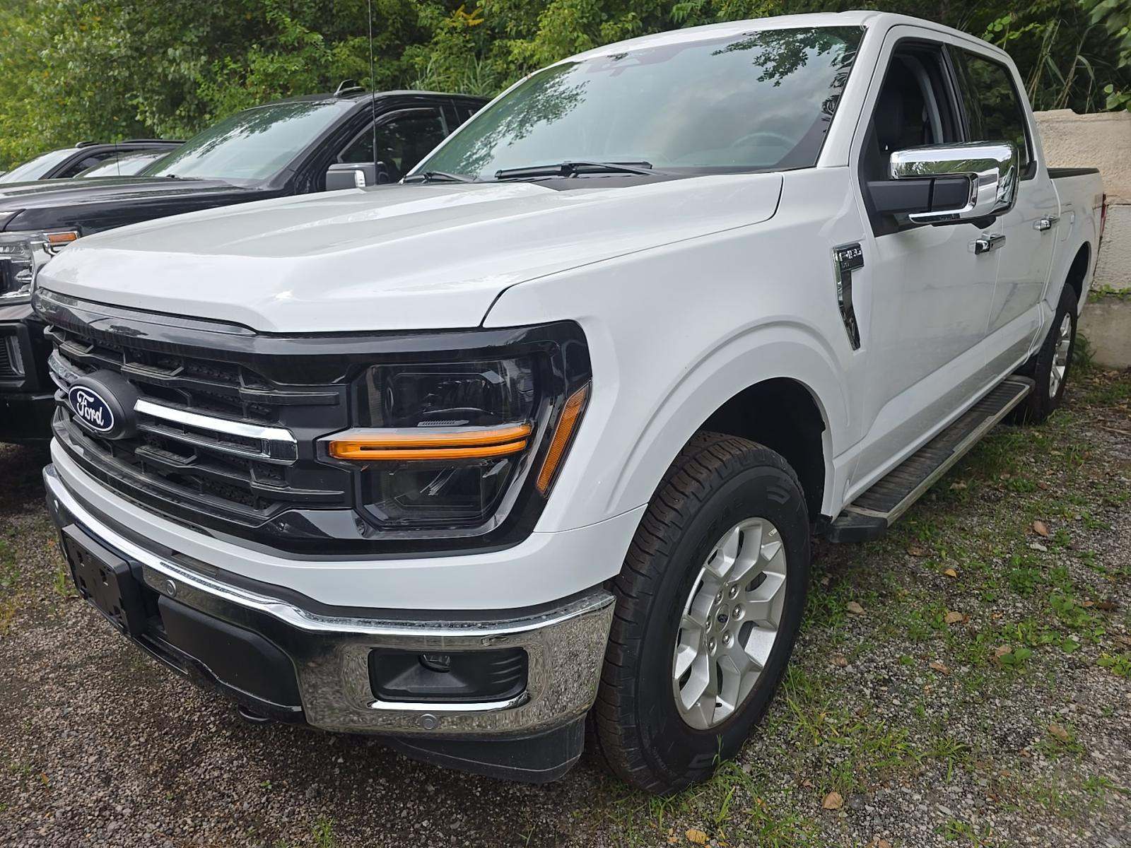 2025 Ford F-150 XLT AWD