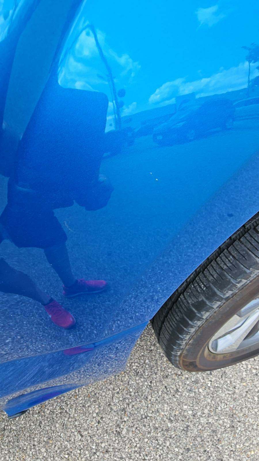 2019 Ford F-150 XL AWD