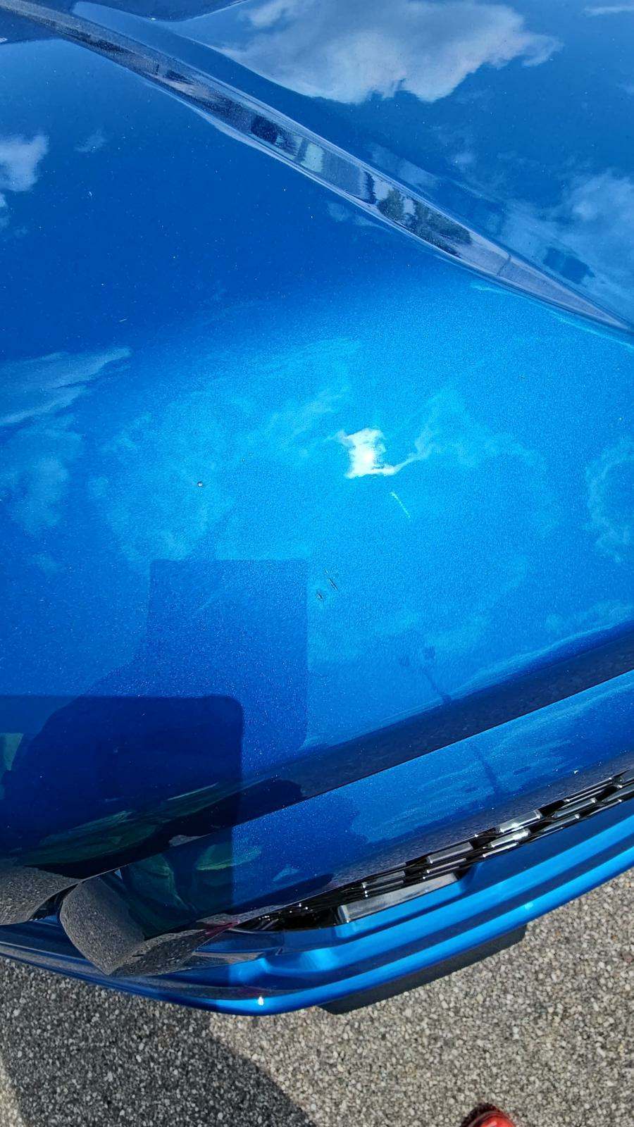 2019 Ford F-150 XL AWD