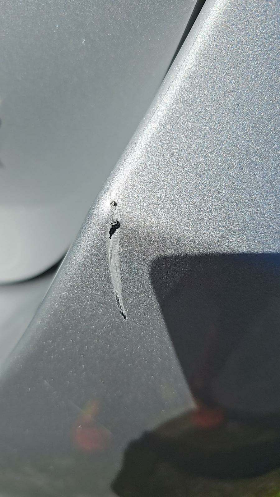 2020 Kia Sedona EX FWD