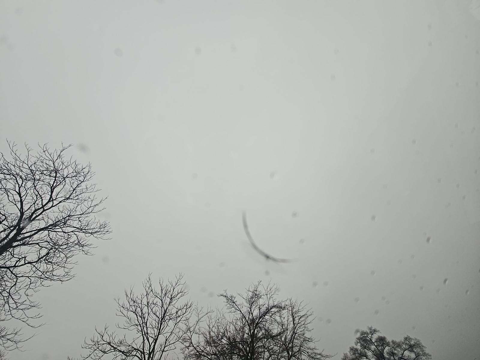 2024 BMW M2 Base RWD