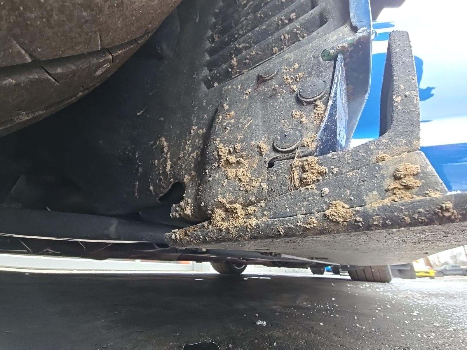 2020 Ford Mustang Shelby GT350R RWD