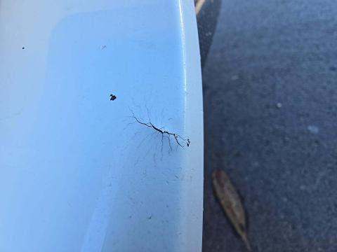 2018 BMW 5 Series M550i xDrive AWD