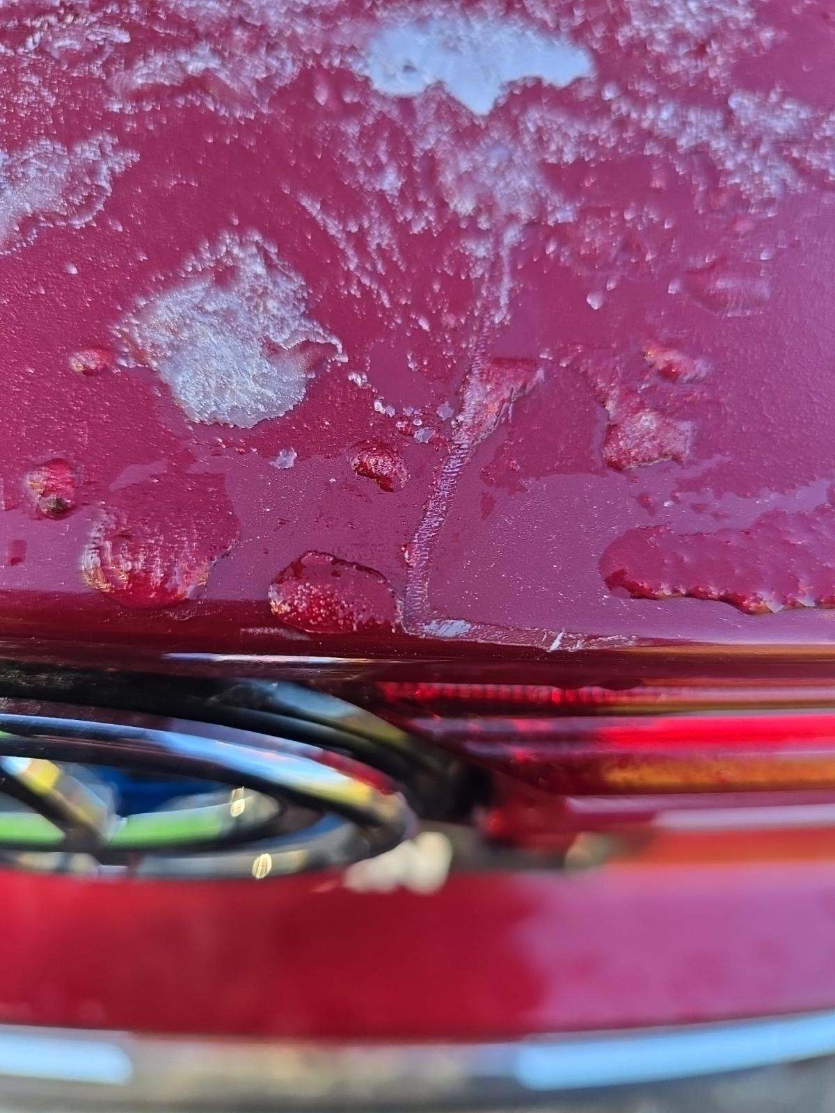 2024 Toyota Venza Limited AWD