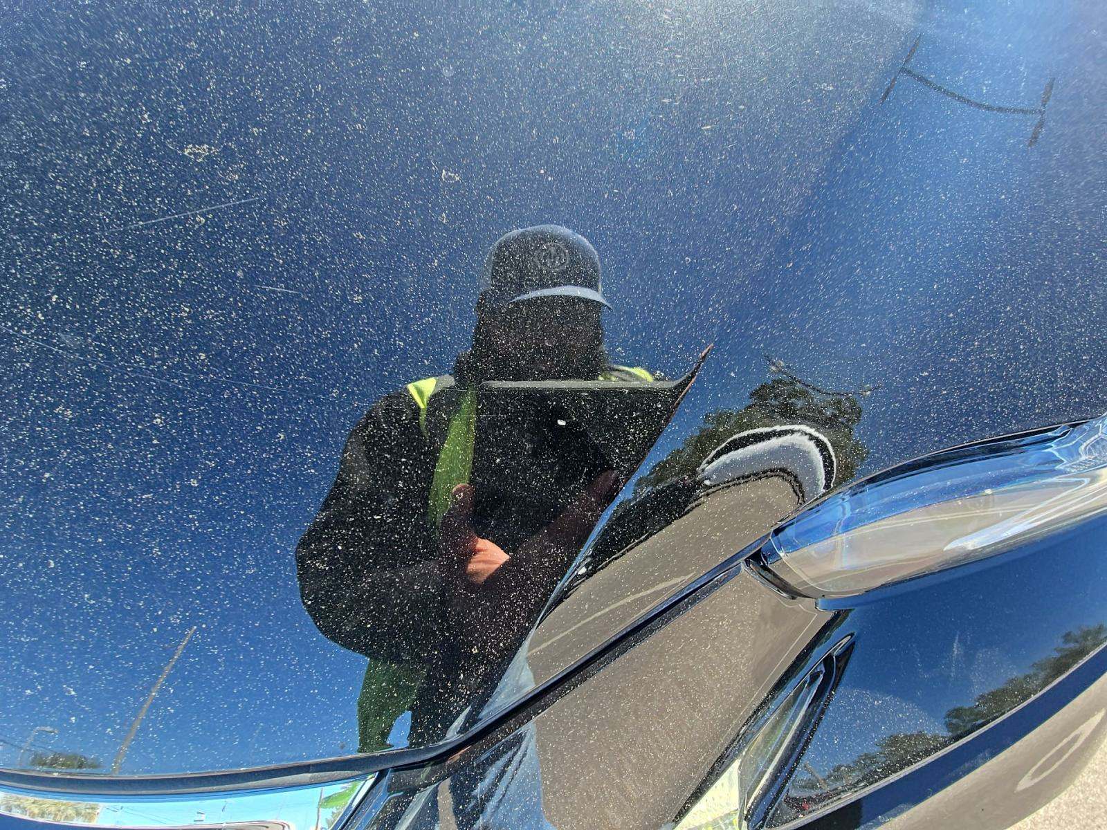 2020 Lexus IS IS 300 RWD