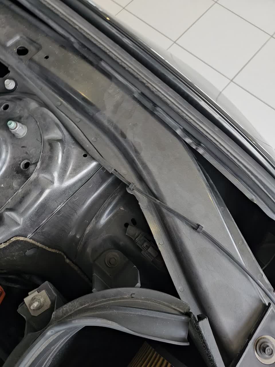 2018 Ford Mustang Shelby GT350 RWD