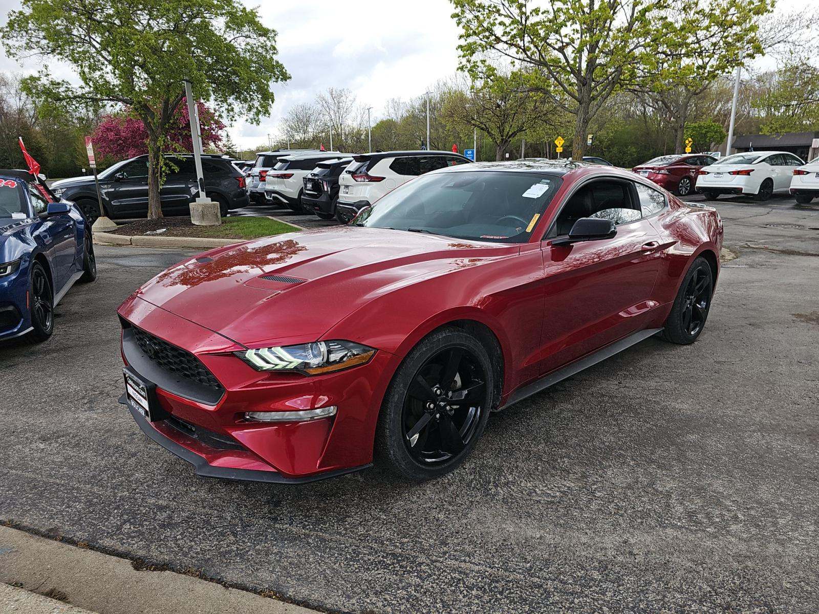 FORD MUSTANG - 1