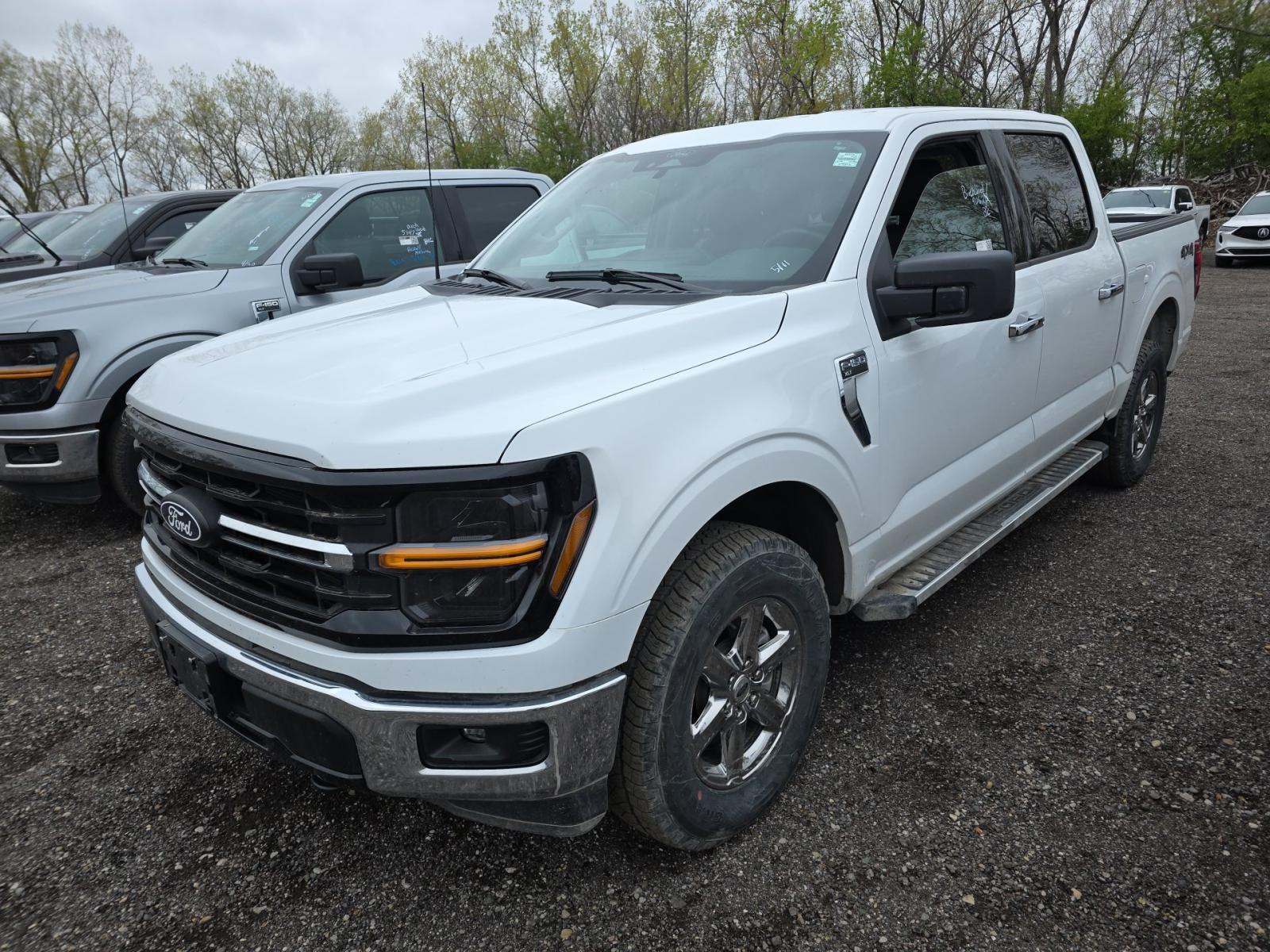 2025 Ford F-150 XLT AWD