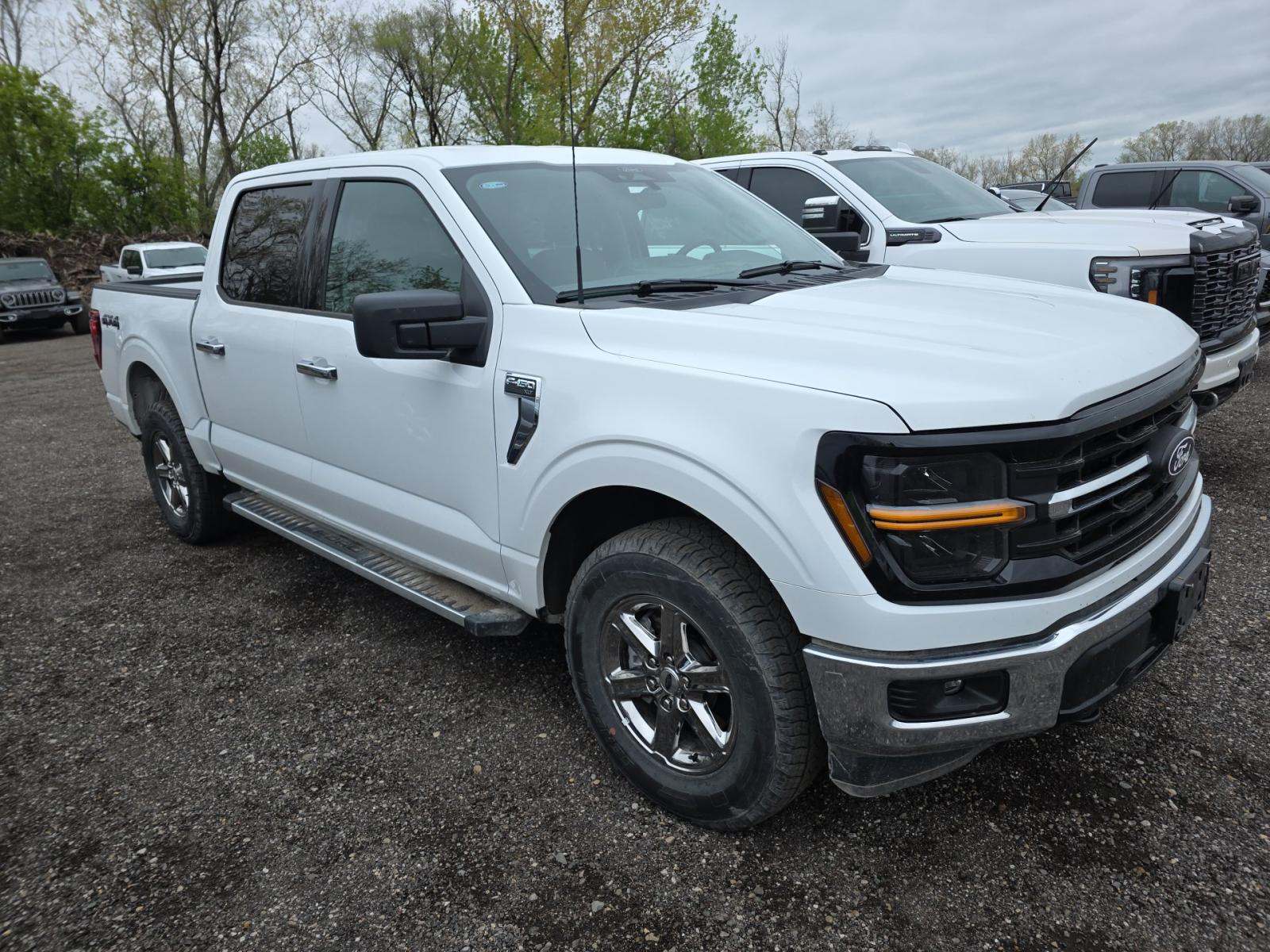 2025 Ford F-150 XLT AWD