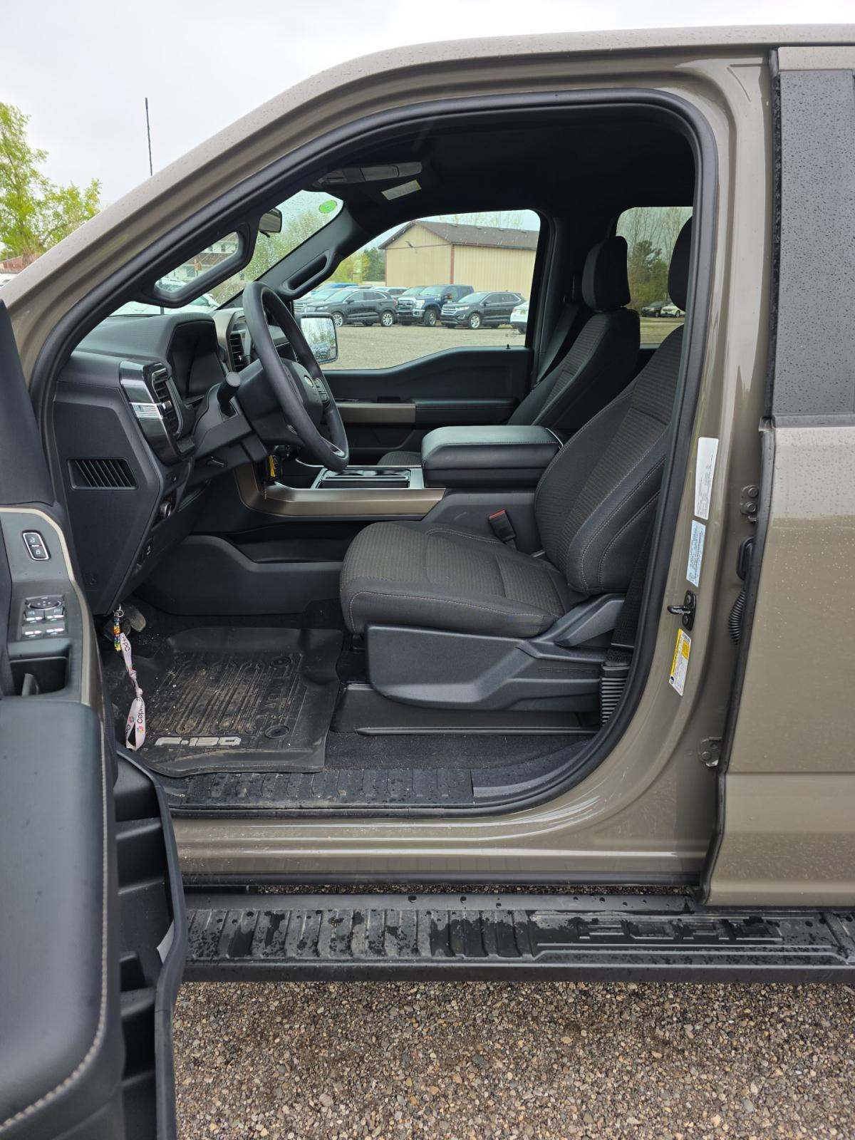 FORD F-150 - 2