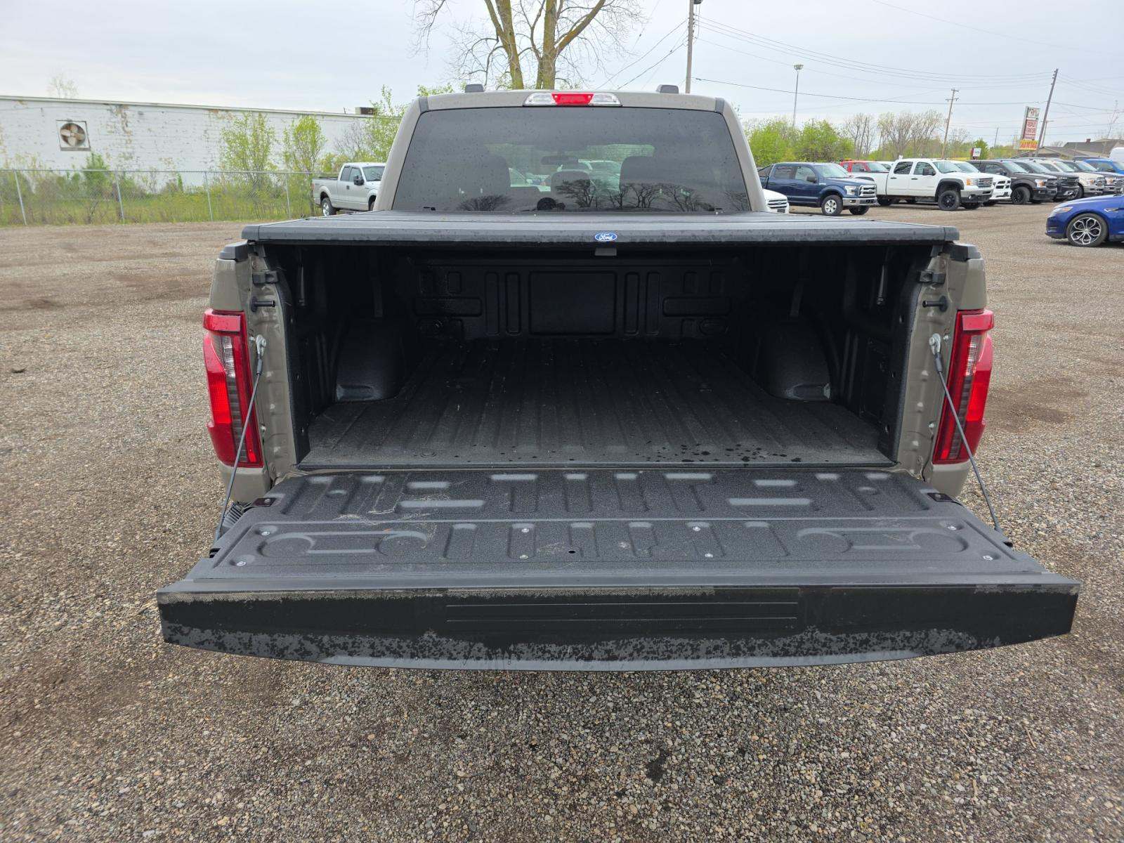 FORD F-150 - 10