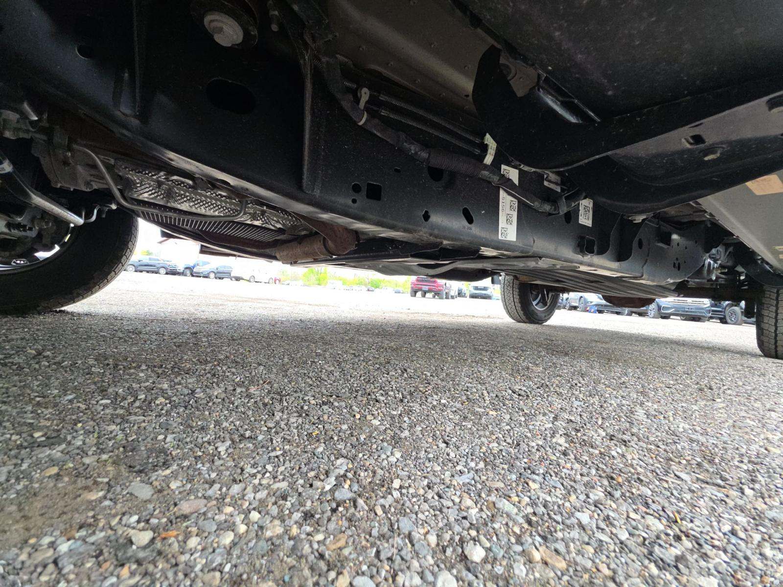 FORD F-150 - 3