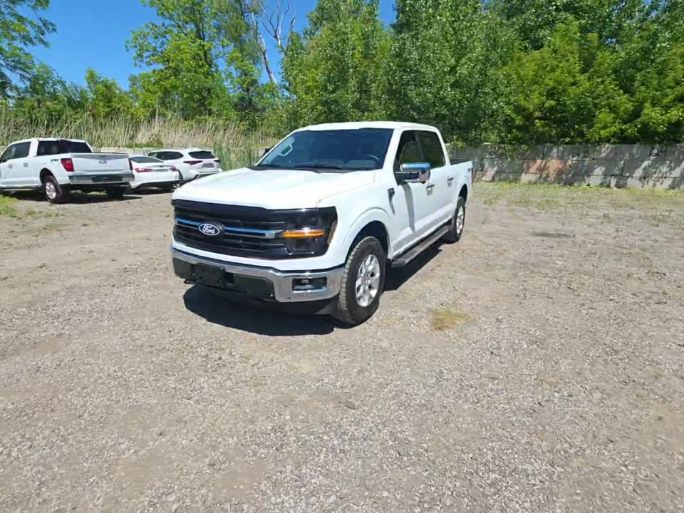 2025 Ford F-150 XLT AWD