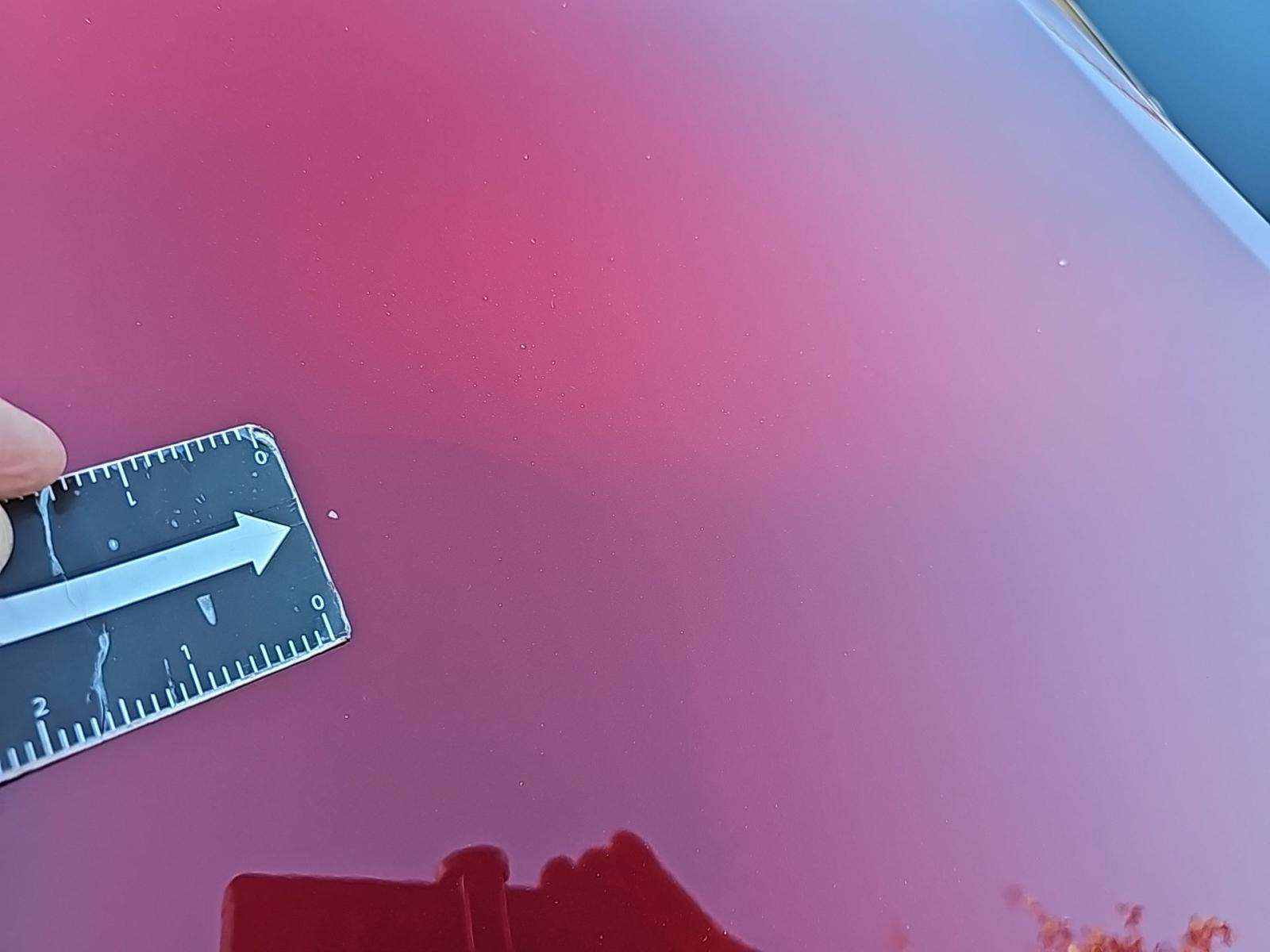 2023 Toyota Venza Nightshade AWD