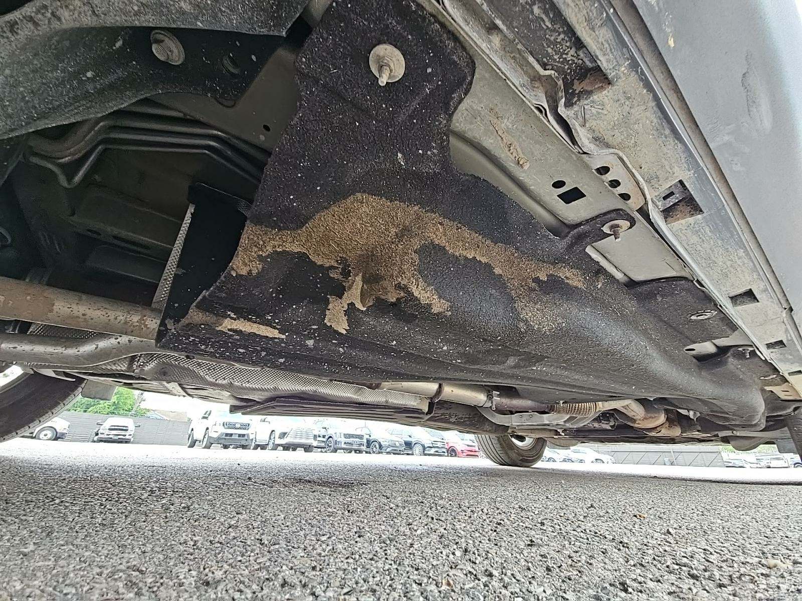 2024 Ford Explorer XLT RWD