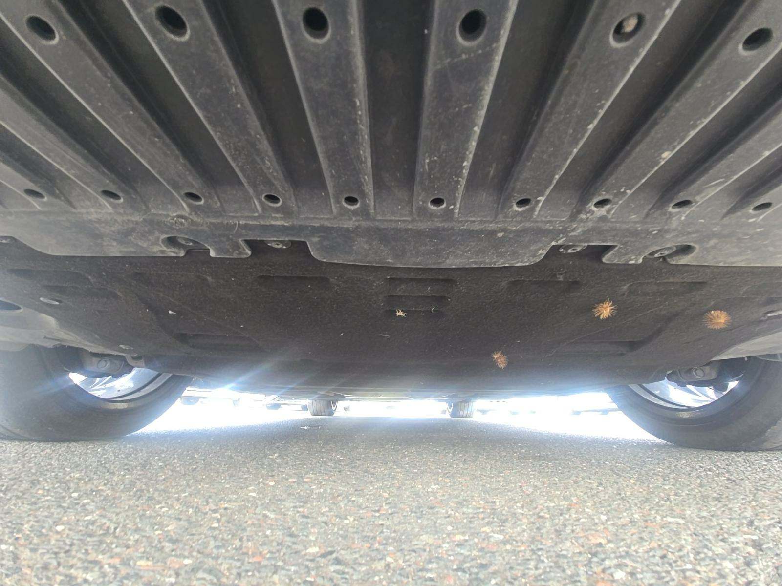 2021 Audi A8 Base AWD