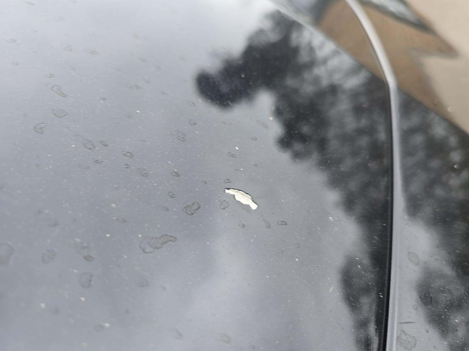 2019 Porsche Panamera 4 AWD