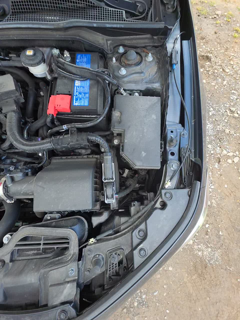 2024 Honda Civic EX-L FWD