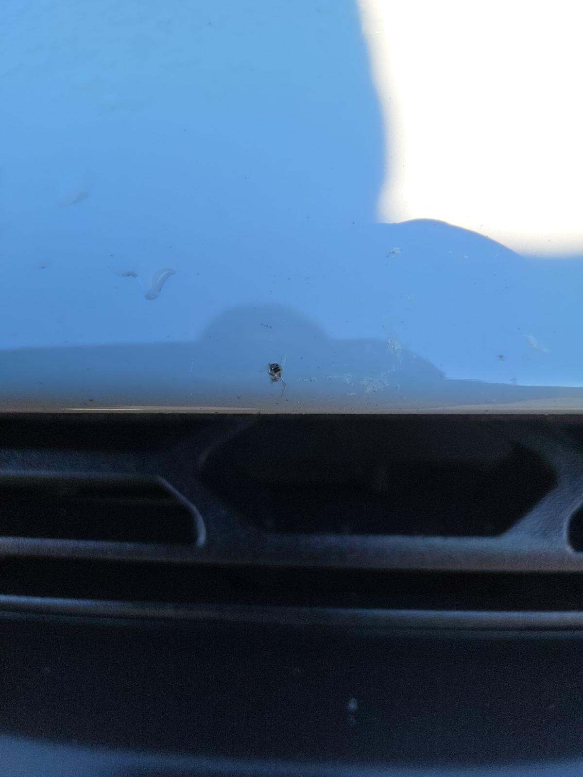 2023 Ford F-150 Tremor AWD