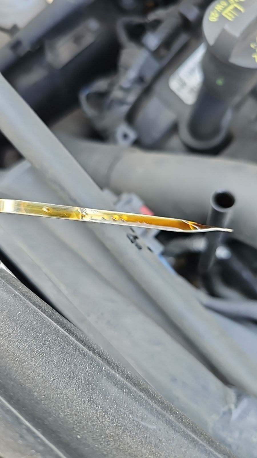 2020 Dodge Grand Caravan SXT FWD