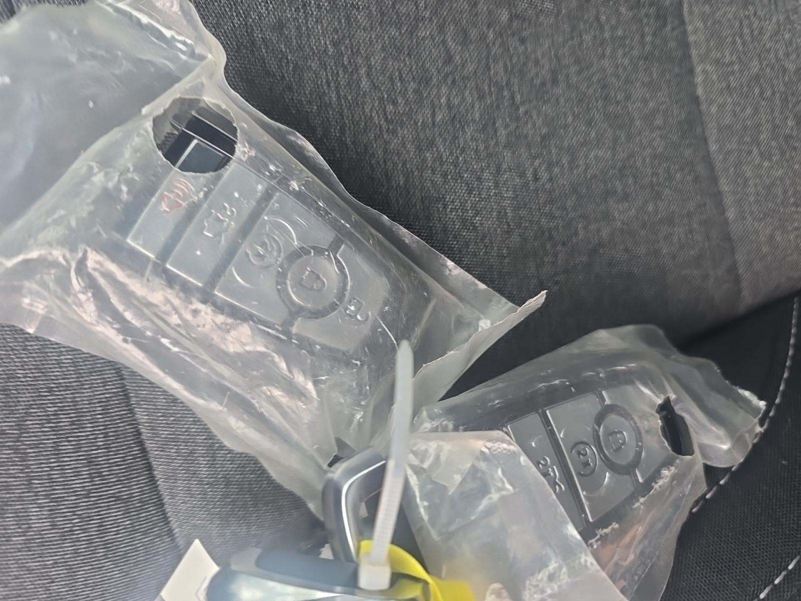 2025 Ford Mustang GT RWD