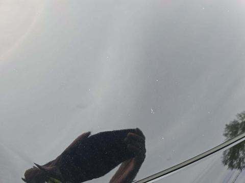 2020 Toyota Prius Prime XLE FWD