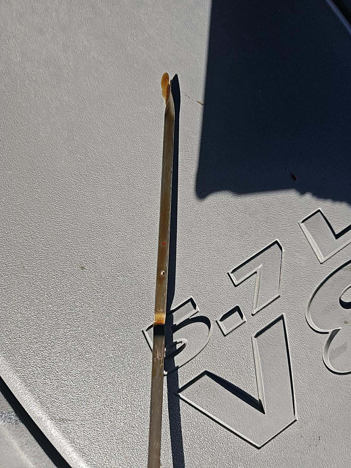 2022 Dodge Challenger R/T RWD