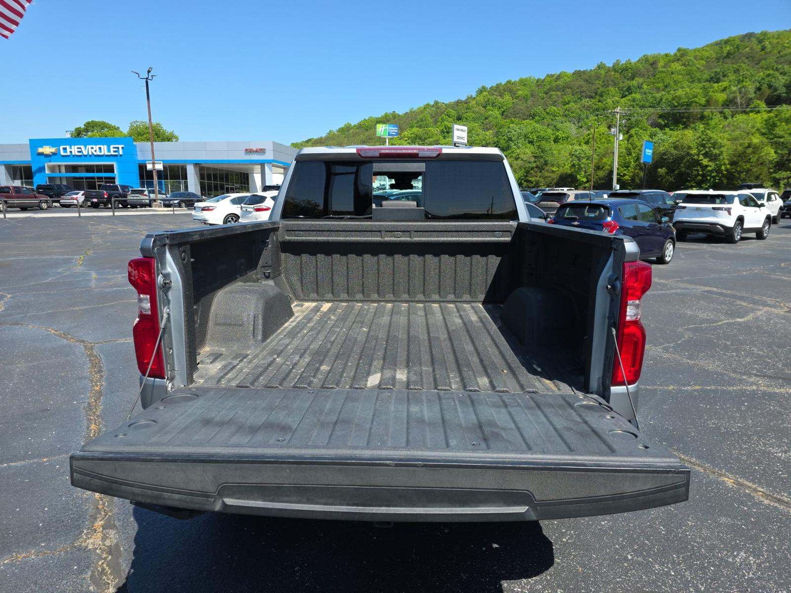 CHEVROLET SILVERADO - 10