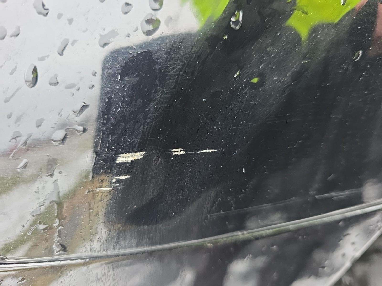 2023 Ford F-150 Tremor AWD