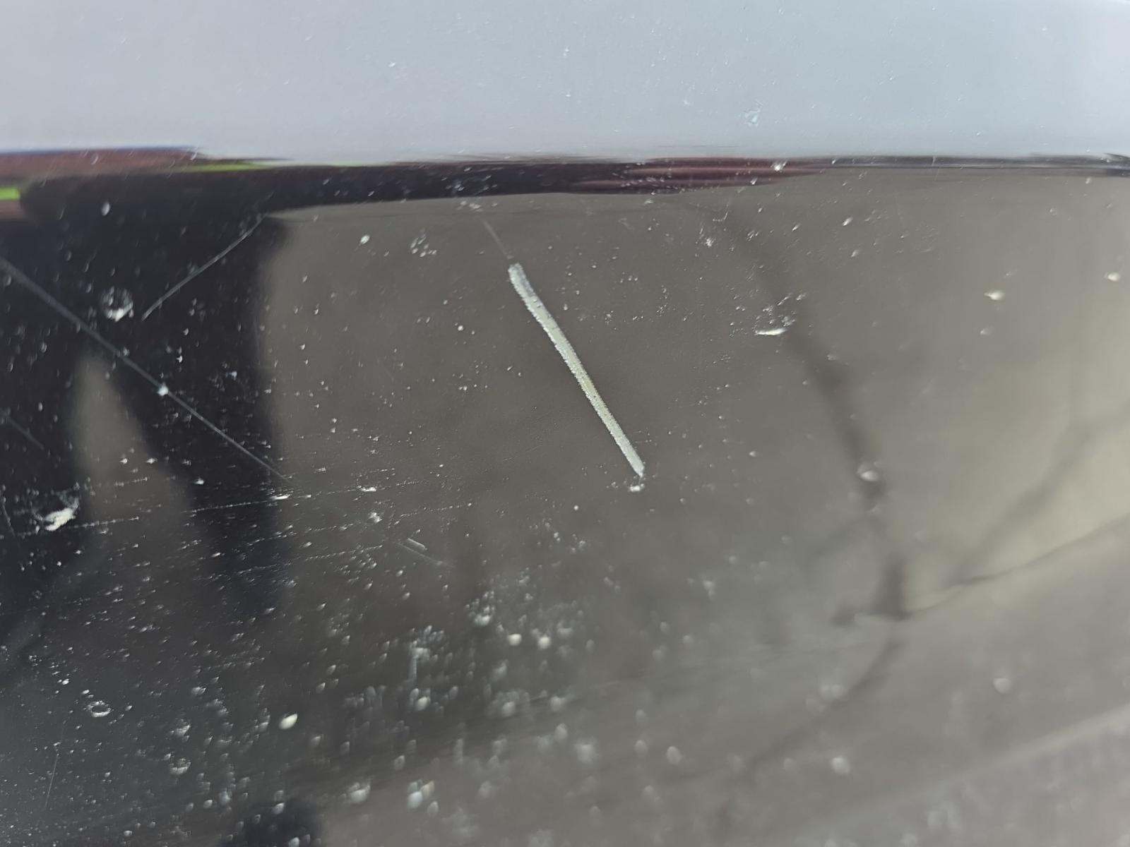 2019 Ford F-150 XLT AWD