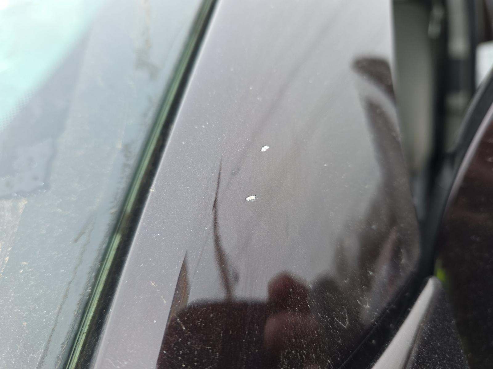 2019 Ford F-150 XLT AWD