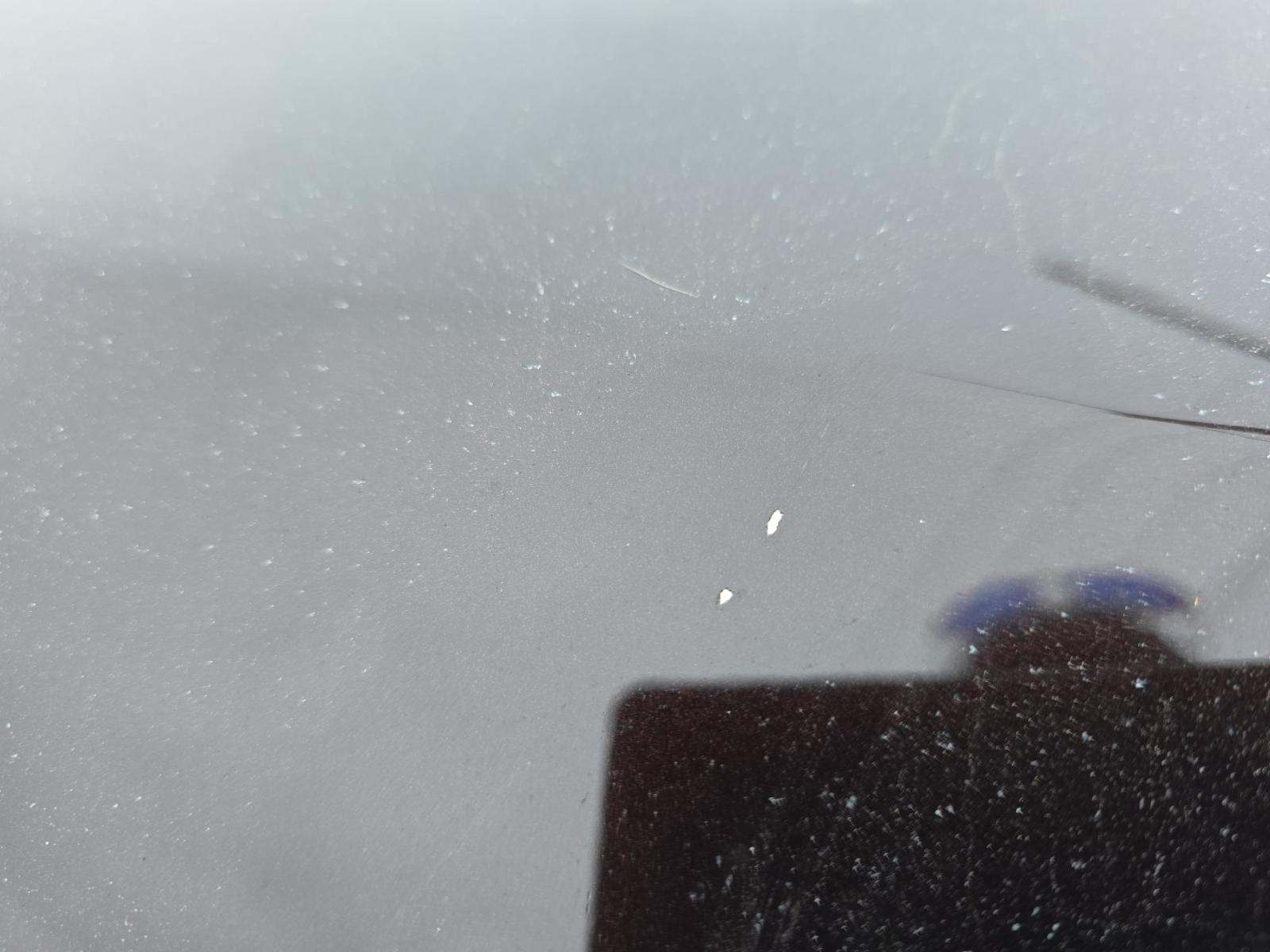 2019 Ford F-150 XLT AWD